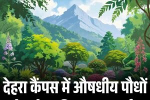 देहरा कैंपस में औषधीय पौधों से सजेगा हिमालयन पार्क