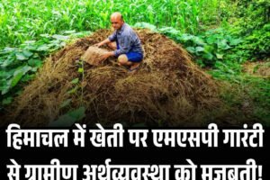 हिमाचल में खेती पर एमएसपी गारंटी से ग्रामीण अर्थव्यवस्था को मजबूती!