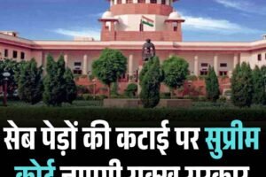 सेब पेड़ों की कटाई पर सुप्रीम कोर्ट जाएगी सुक्खू सरकार