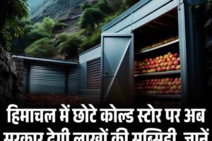 हिमाचल में छोटे कोल्ड स्टोर पर अब सरकार देगी लाखों की सब्सिडी, जानें