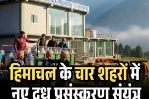 हिमाचल के चार शहरों में लगेंगे नए दूध प्रसंस्करण संयंत्र, किसानों की आय में इजाफा