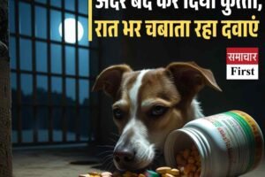 आयुर्वेदिक अस्‍पताल के अंदर बंद कर दिया कुत्‍ता, रात भर चबाता रहा दवाएं