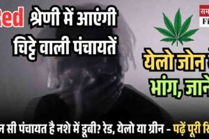 Red श्रेणी में आएंगी चिट्टे वाली पंचायतें, येलो जोन में भांग, जानें