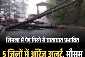 शिमला में पेड़ गिरने से यातायात प्रभावित, इन पांच जिलों में ऑरेंज अलर्ट, मौसम को लेकर जानें बड़ा अपडेट