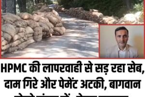 HPMC की लापरवाही से सड़ रहा सेब,  दाम गिरे और पेमेंट अटकी, बागवानों दोहरे संकट में : चेतन बरागटा