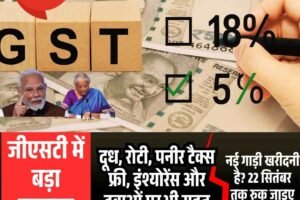 दूध, रोटी, पनीर टैक्स फ्री, इंश्योरेंस और दवाओं पर भी राहत