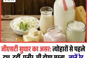 त्योहारों से पहले मदर डेयरी का तोहफा, सस्ते होंगे डेयरी प्रोडक्ट्स