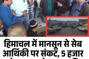 हिमाचल में मानसून से सेब आर्थिकी पर संकट, 5 हजार करोड़ का कारोबार प्रभावित
