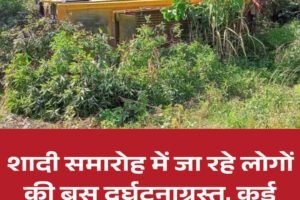 शादी समारोह में जा रहे लोगों की बस दुर्घटनाग्रस्त, कई घायल, मची अफरातफरी