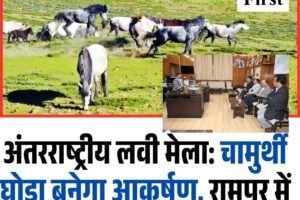 अंतरराष्ट्रीय लवी मेला: चामुर्थी घोड़ा बनेगा आकर्षण, रामपुर में लगेगी खास अश्व प्रदर्शनी