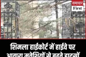 शिमला हाईकोर्ट में हाईवे पर आवारा मवेशियों से बढ़ते हादसों को लेकर जनहित याचिका दाखिल