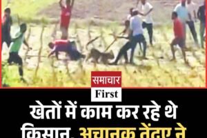 खेतों में काम कर रहे थे किसान, अचानक तेंदुए ने कर दिया हमला, छह घायल
