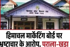 हिमाचल मार्केटिंग बोर्ड पर भ्रष्टाचार के आरोप, पराला-खड़ा पत्थर सीए स्टोर के टेंडर रद्द