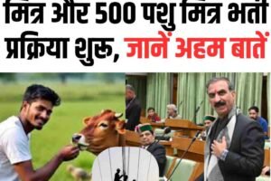 6 घंटे ड्यूटी, 10 हजार मानदेय: बिजली उपभोक्ता मित्रों की नियुक्ति जल्‍द