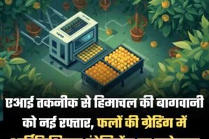 एआई तकनीक से हिमाचल की बागवानी को नई रफ्तार, फलों की ग्रेडिंग में आर्टिफिशियल इंटेलिजेंस का इस्तेमाल