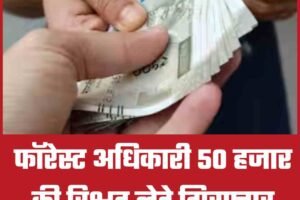 फॉरेस्ट अधिकारी 50 हजार की रिश्वत लेते गिरफ्तार