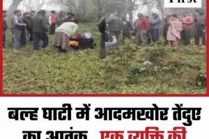 बल्ह घाटी में आदमखोर तेंदुए का आतंक,  एक व्यक्ति की मौत, पांच लोग गंभीर घायल