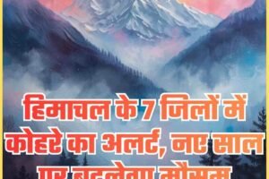 हिमाचल के 7 जिलों में कोहरे का अलर्ट, नए साल पर बदलेगा मौसम