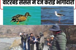 किन्नौर ने पहली बार एशियन वाटरबर्ड सेंसस में दर्ज कराई भागीदारी