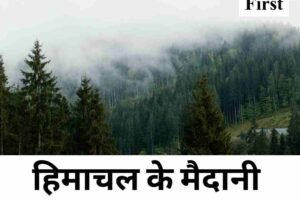 हिमाचल के मैदानी इलाकों में घना कोहरा, सात जिलों में यलो अलर्ट