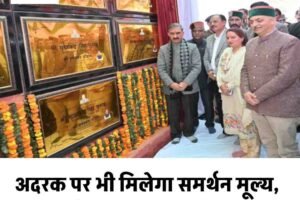 अदरक पर भी मिलेगा समर्थन मूल्य, सराहां-चंडीगढ़ सड़क डबललेन: सुक्‍खू