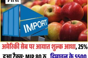 अमेरिकी सेब पर आयात शुल्क आधा, 25% हुआ टैक्स; MIP 80 रु., हिमाचल के 5500 करोड़ के सेब कारोबार पर मंडराया खतरा