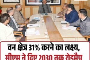 वन क्षेत्र 31% करने का लक्ष्य: सीएम ने दिए 2030 तक रोडमैप बनाने के निर्देश
