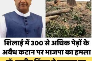 शिलाई में 300 से अधिक पेड़ों के अवैध कटान पर भाजपा का हमला, डॉ. राजीव बिंदल ने सरकार पर लगाए दोषियों को बचाने के आरोप