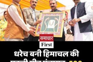 धरेच बनी हिमाचल की पहली ग्रीन पंचायत: 500 किलोवाट सोलर प्लांट शुरू