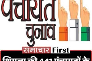 शिमला की 441 पंचायतों के लिए मतदान शेड्यूल जारी