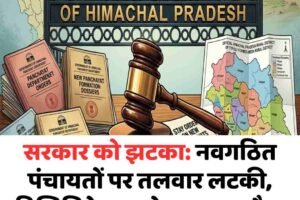 सरकार को झटका: नवगठित पंचायतों पर तलवार लटकी, डिलिमिटेशन को बताया अवैध