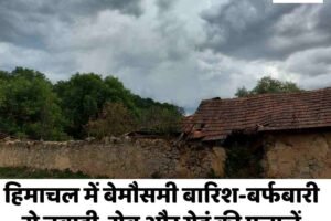हिमाचल में बेमौसमी बारिश-बर्फबारी से तबाही, सेब और गेहूं की फसलें बर्बाद, किसानों ने मांगा मुआवजा