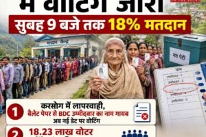 हिमाचल पंचायत चुनाव: 9 बजे तक 18% मतदान: करसोग में लापरवाही, बैलेट पेपर से BDC उम्मीदवार का नाम गायब अब नई डेट पर वोटिंग