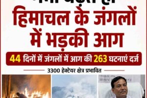 गर्मी बढ़ते ही हिमाचल के जंगलों में भड़की आग, आग 44 दिनों में जंगलों में आग की 263 घटनाएं दर्ज
