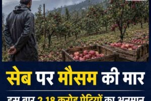 सेब उत्पादन में बड़ी गिरावट की आशंका, बागवानों को 2500 करोड़ तक नुकसान संभव