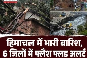 हिमाचल में मूसलाधार बारिश का कहर: 6 जिलों में फ्लैश फ्लड अलर्ट, शिमला में मकान पर गिरा पेड़, आनी-बंजार-निरमंड के स्कूल बंद