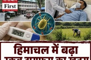हिमाचल में स्क्रब टायफस का खतरा बढ़ा: IGMC में पांच संदिग्ध मरीज भर्ती, डॉक्टरों ने जारी की एडवाइजरी