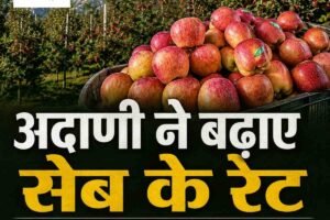 कृषि-बागवानी: अदाणी ने हिमाचल में बढ़ाए सेब खरीद के रेट, 23 रुपये तक की बढ़ोतरी; जानें किस ग्रेड का कितना दाम