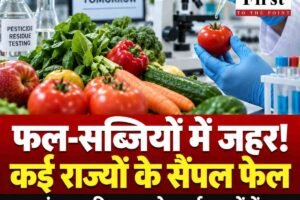 फल-सब्जियों में जहर का खतरा! पंजाब-हरियाणा समेत पांच राज्यों में फेल हुए सैंपल, रिपोर्ट में बड़ा खुलासा