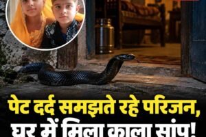 मंडी में सांप के डसने से भाई-बहन की मौत, पेट दर्द समझकर सेंकते रहे माता-पिता; घर में मिला बड़ा काला सांप