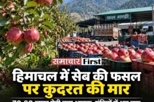 हिमाचल में सेब उत्पादन पर कुदरत की मार, सीजन खत्म होने को फिर भी मंडियों में नहीं पहुंचा एक करोड़ पेटी का आंकड़ा