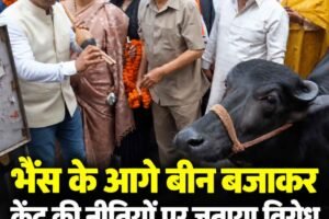 हिमाचल: सोलन मालरोड पर कांग्रेस का प्रदर्शन, भैंस के आगे बीन बजाकर केंद्र की नीतियों पर जताया विरोध