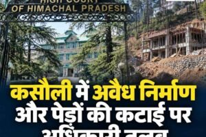 कसौली में अवैध निर्माण और पेड़ों की कटाई पर अधिकारी तलब, रिपोर्ट में देरी पर हाईकोर्ट नाराज