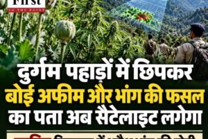 दुर्गम पहाड़ों में छिपकर बोई अफीम और भांग की फसल का पता अब सैटेलाइट लगेगा, जानिए एनसीबी का मास्टरप्लान?