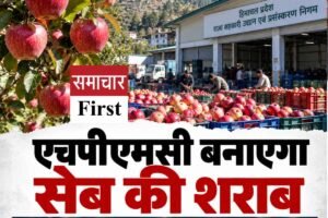 एचपीएमसी बनाएगा सेब की शराब, जानें क्या है एप्पल श्नैप्स और कैसे तैयार होगा हिमाचली सेब से