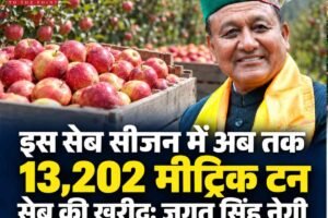 इस सेब सीजन में अब तक 13,202 मीट्रिक टन सेब की खरीदः जगत सिंह नेगी