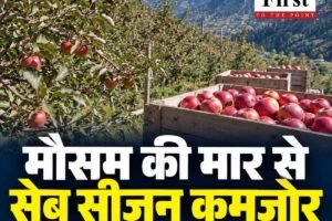 मौसम की मार से सेब सीजन कमजोर, आधा रह गया कारोबार, बागवान चिंता में